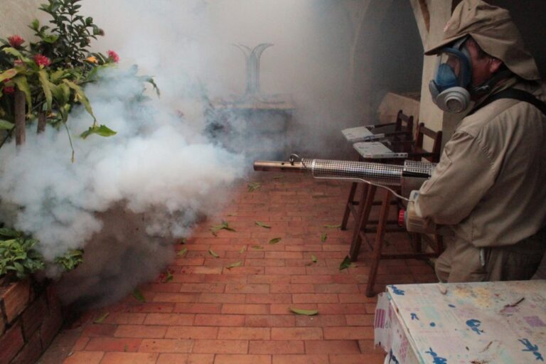 En Bolivia el dengue se aproxima a 9 mil casos
