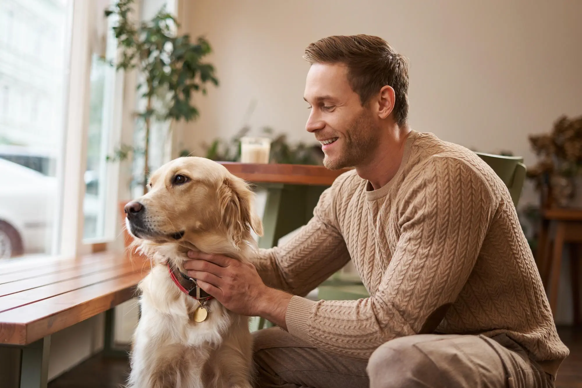 10 Amazing Reasons You’ll Want to Walk Your Dog More Often