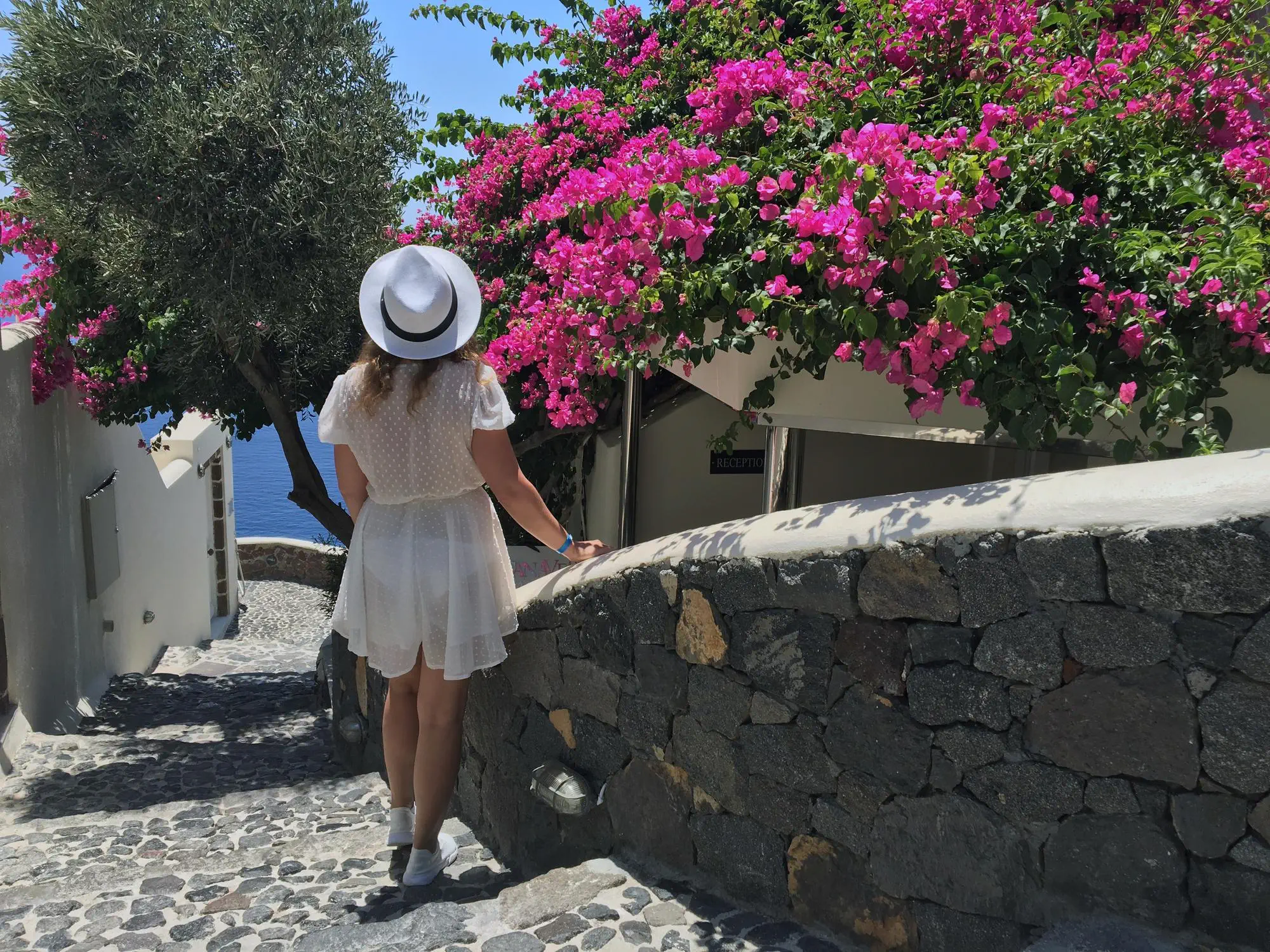 Holiday Time and Entertainment for Relaxation and Joy