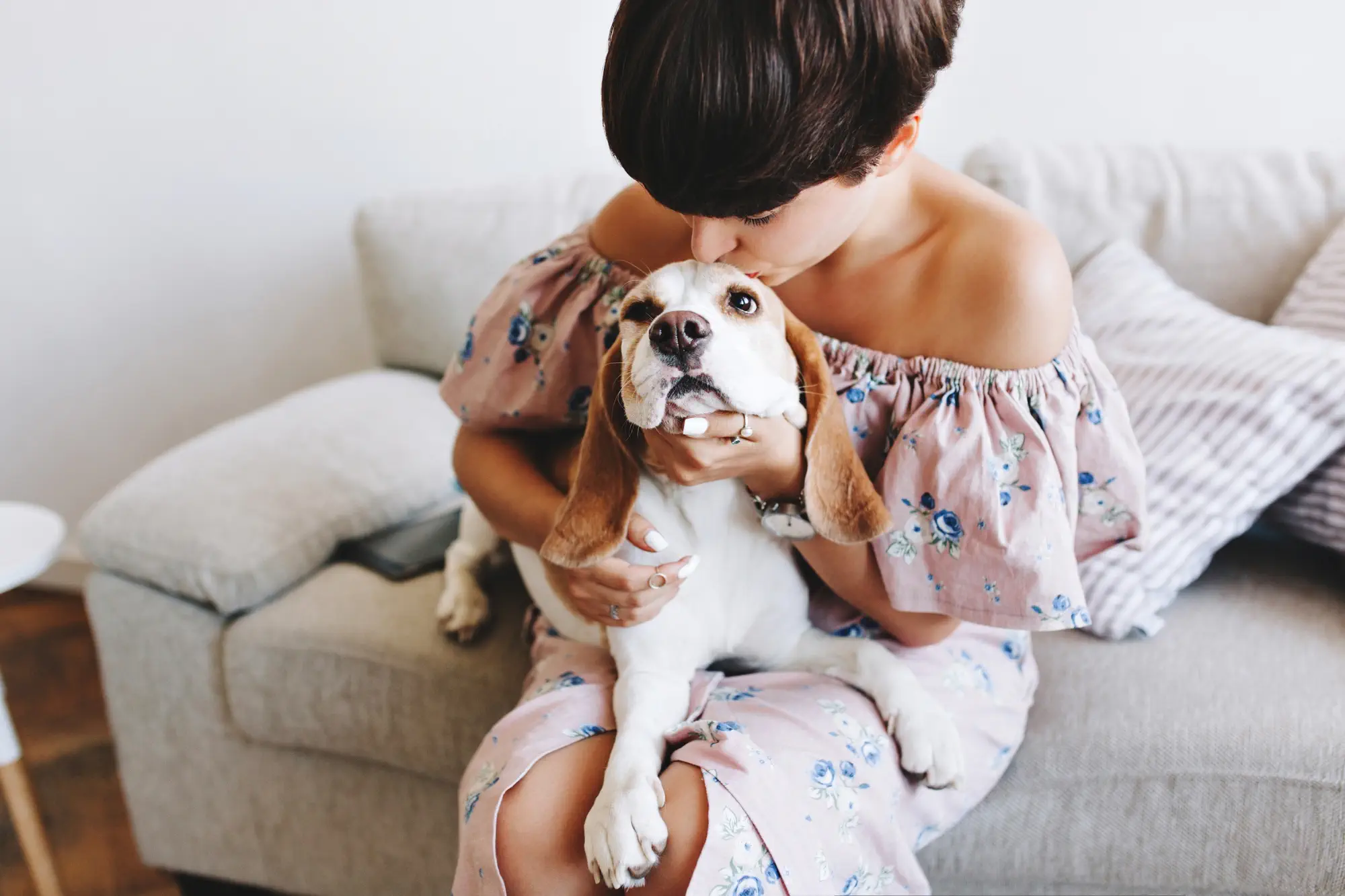 The Calming Influence of Pets on Human Wellbeing